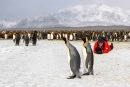 Antarctique, un continent à la dérive