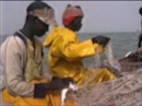 Fishing in Abene - Senegal